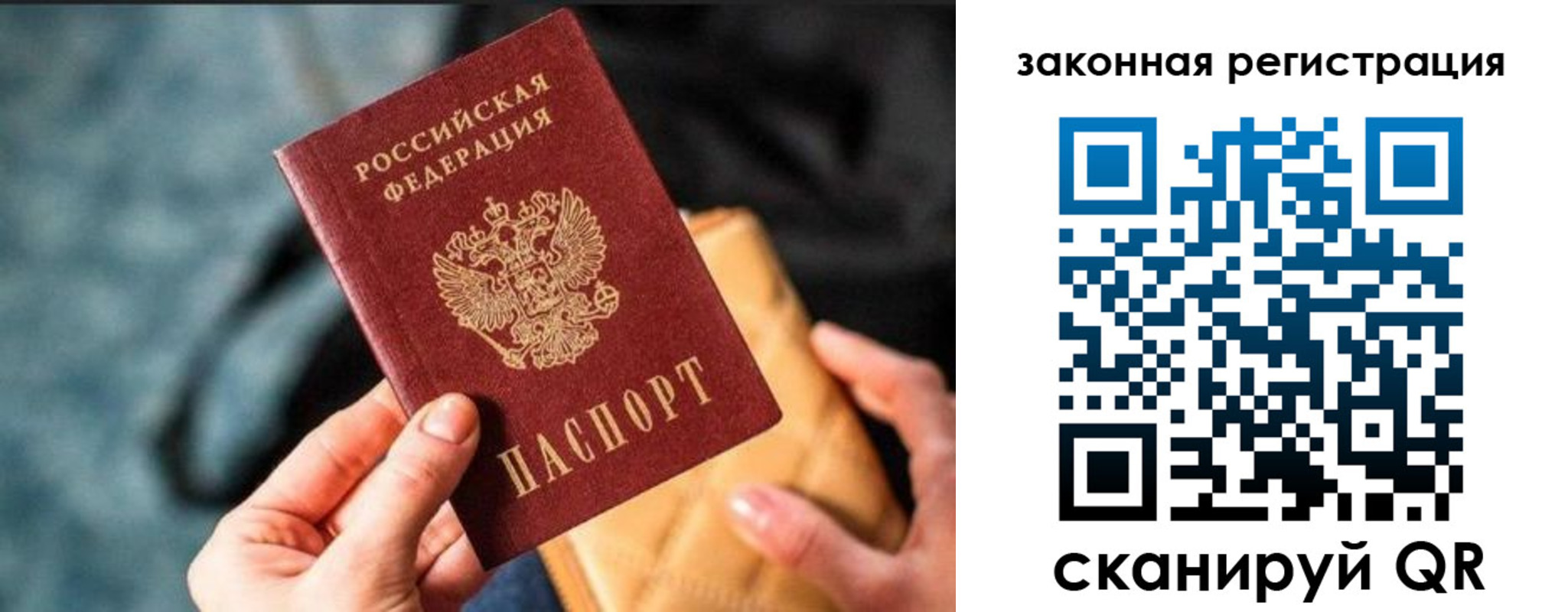найти адрес прописки в Кольчугино