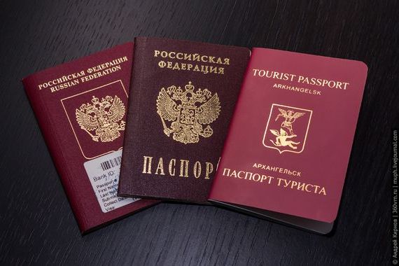 прописка в Кольчугино